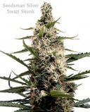 Swazi Skunk