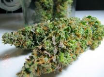 BC Sweet Island Skunk